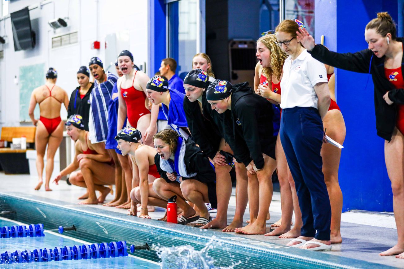 Photo Gallery: Sunflower Showdown