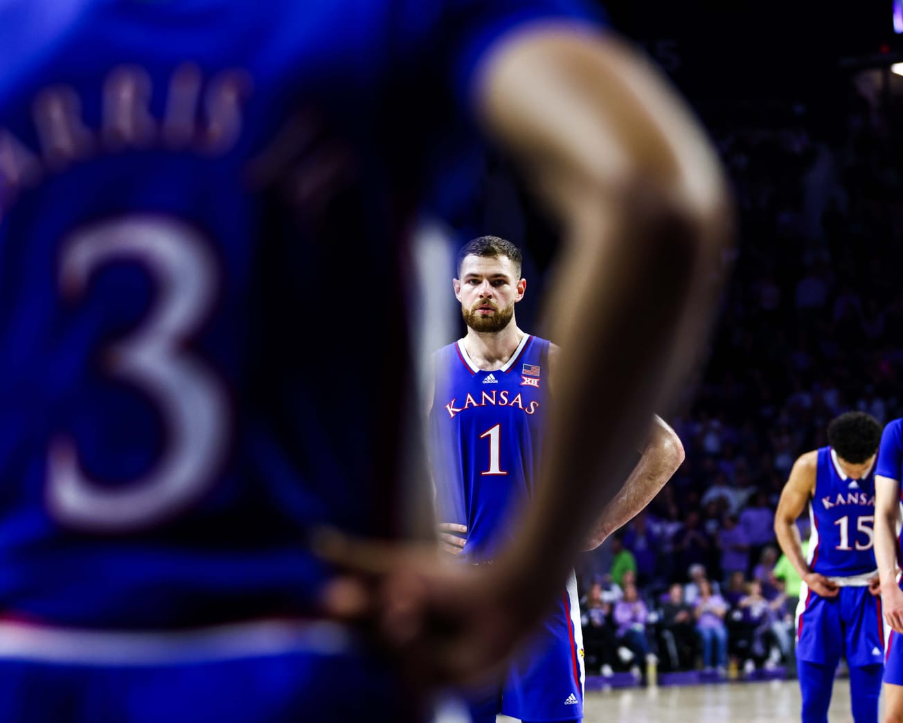 Photo Gallery: Sunflower Showdown in Manhattan